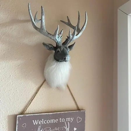 473 Appartement Hohegeiß